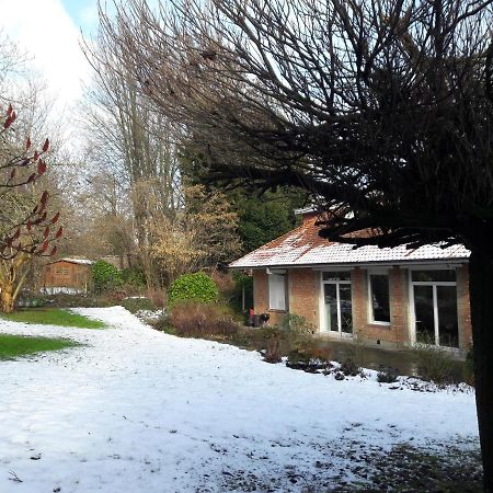 Un Grand Jardin En Ville. Chez Guy Uccle Bagian luar foto